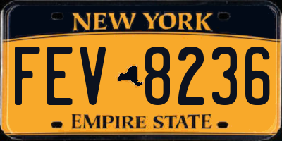 NY license plate FEV8236