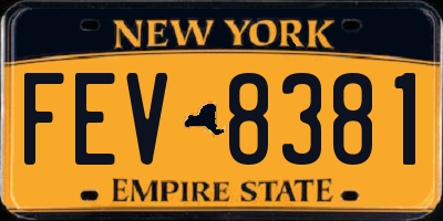 NY license plate FEV8381
