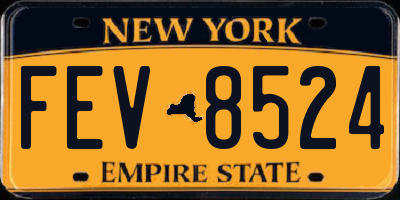 NY license plate FEV8524
