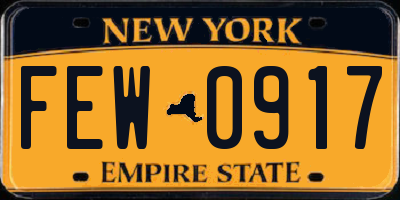 NY license plate FEW0917