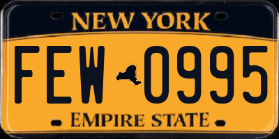 NY license plate FEW0995