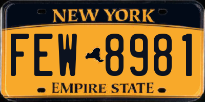 NY license plate FEW8981
