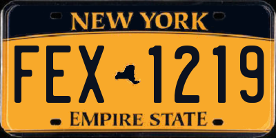 NY license plate FEX1219