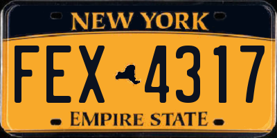 NY license plate FEX4317