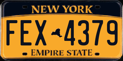 NY license plate FEX4379