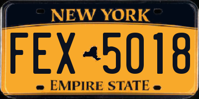 NY license plate FEX5018