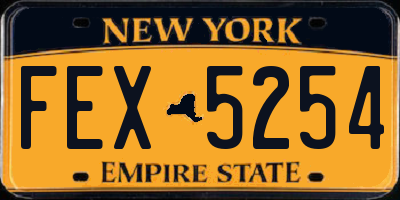 NY license plate FEX5254