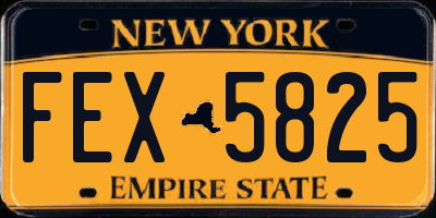 NY license plate FEX5825