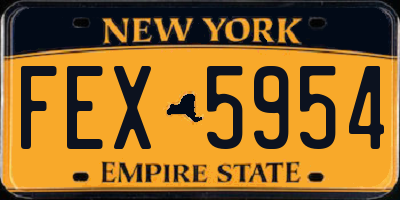 NY license plate FEX5954