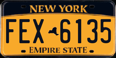 NY license plate FEX6135