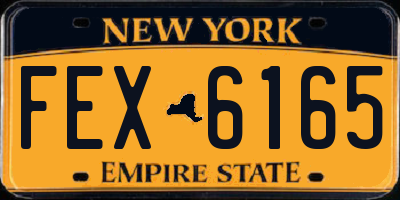 NY license plate FEX6165