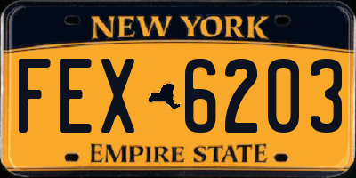 NY license plate FEX6203