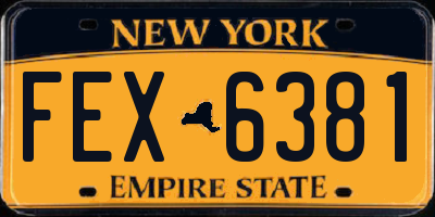 NY license plate FEX6381