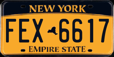 NY license plate FEX6617