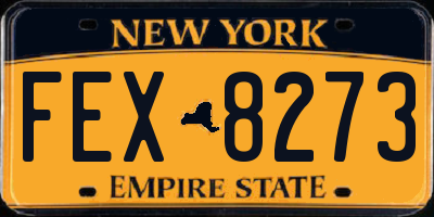 NY license plate FEX8273