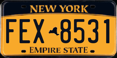 NY license plate FEX8531