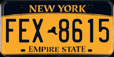 NY license plate FEX8615