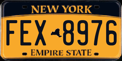 NY license plate FEX8976