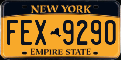 NY license plate FEX9290