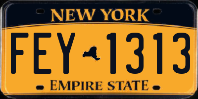 NY license plate FEY1313