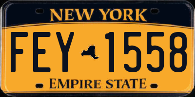 NY license plate FEY1558