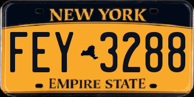 NY license plate FEY3288