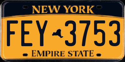 NY license plate FEY3753