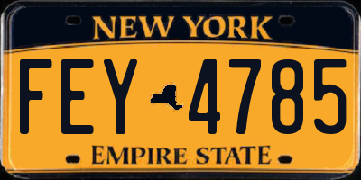 NY license plate FEY4785