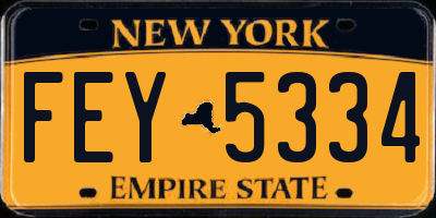 NY license plate FEY5334
