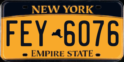 NY license plate FEY6076