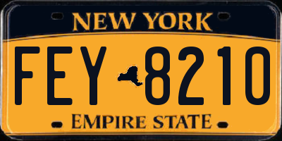 NY license plate FEY8210