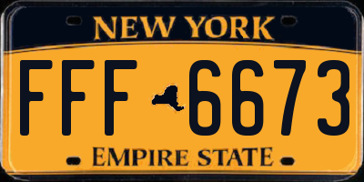 NY license plate FFF6673