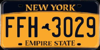 NY license plate FFH3029