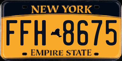 NY license plate FFH8675