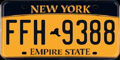 NY license plate FFH9388