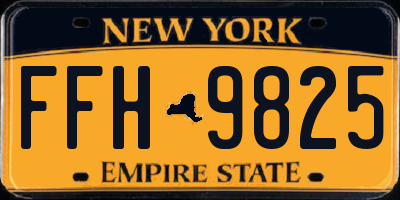NY license plate FFH9825