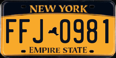 NY license plate FFJ0981