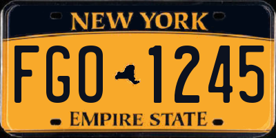 NY license plate FGO1245