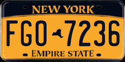 NY license plate FGO7236