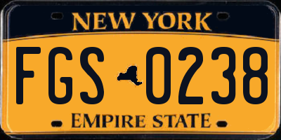 NY license plate FGS0238