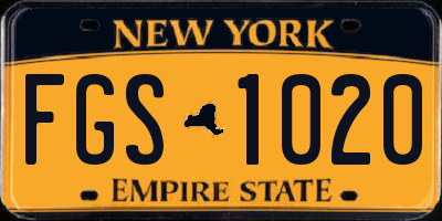 NY license plate FGS1020