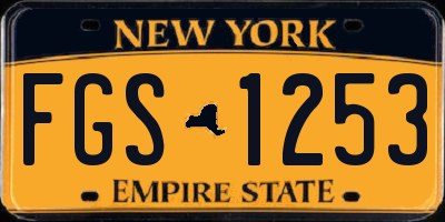 NY license plate FGS1253