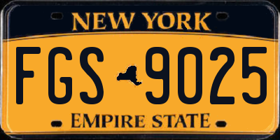 NY license plate FGS9025