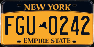 NY license plate FGU0242