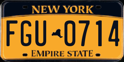 NY license plate FGU0714