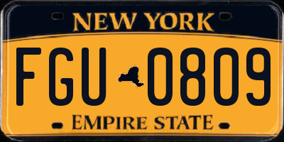 NY license plate FGU0809