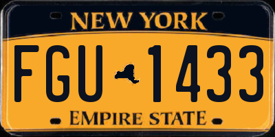 NY license plate FGU1433