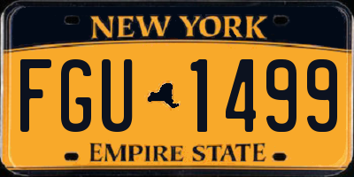 NY license plate FGU1499