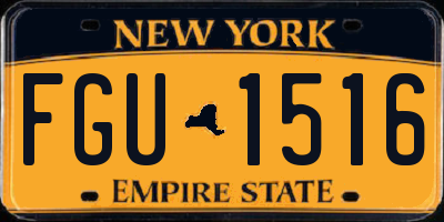 NY license plate FGU1516