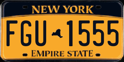 NY license plate FGU1555